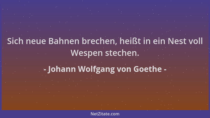 Johann Wolfgang von Goethe - Sich neue Bahnen brechen, heißt in ein Nest voll Wespen stechen....