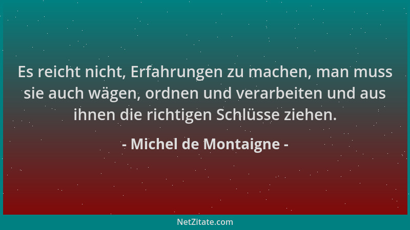 Michel de Montaigne - Es reicht nicht, Erfahrungen zu machen, man muss sie auch wägen, ordnen und verarbeiten und aus ihnen...