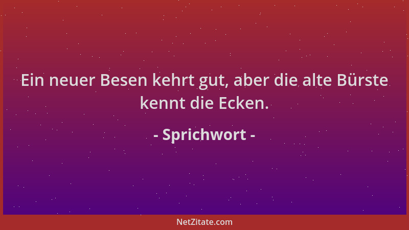 Sprichwort - Ein neuer Besen kehrt gut, aber die alte Bürste kennt die Ecken....