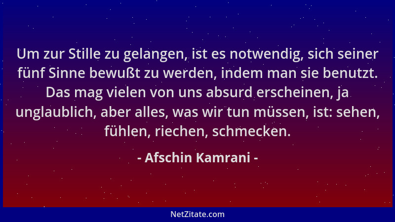 Afschin Kamrani - Um zur Stille zu gelangen, ist es notwendig, sich seiner fünf Sinne bewußt zu werden, indem man sie benut...