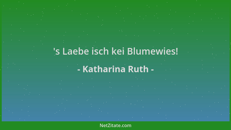 Katharina Ruth -  's Laebe isch kei Blumewies!...
