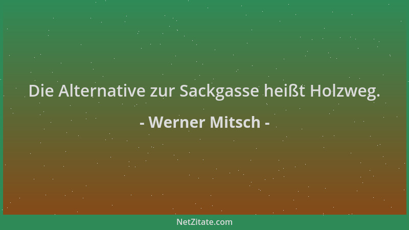 Werner Mitsch - Die Alternative zur Sackgasse heißt Holzweg....