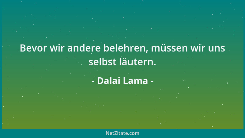Dalai Lama - Bevor wir andere belehren, müssen wir uns selbst läutern....