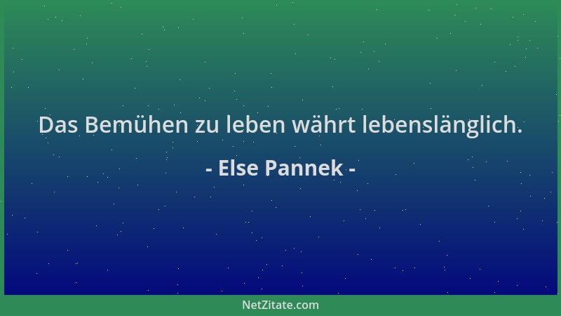 Else Pannek - Das Bemühen zu leben währt lebenslänglich....