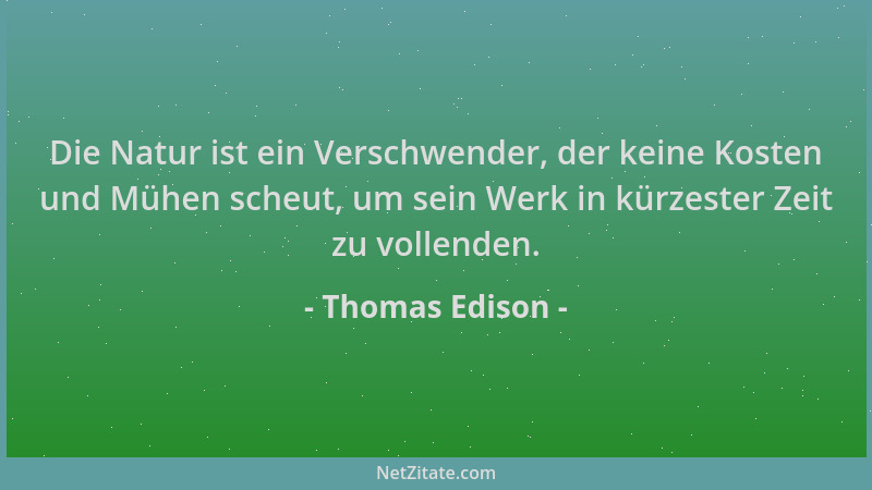Thomas Edison - Die Natur ist ein Verschwender, der keine Kosten und Mühen scheut, um sein Werk in kürzester Zeit zu vollen...