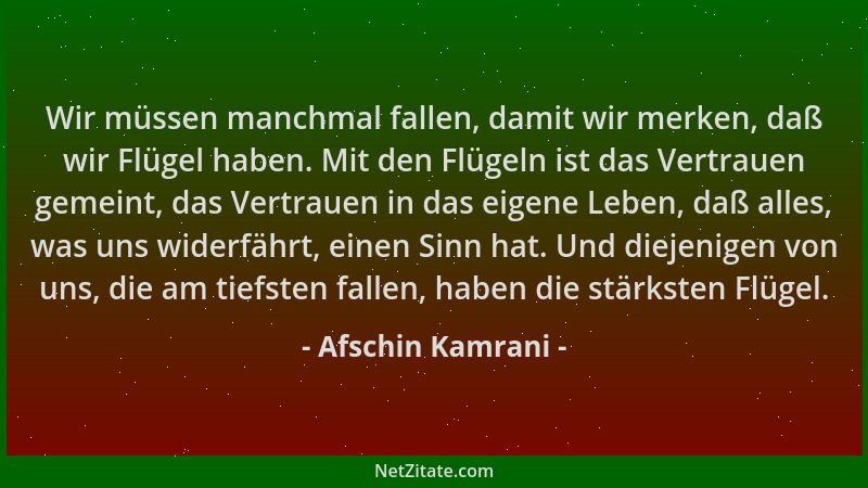 Afschin Kamrani - Wir müssen manchmal fallen, damit wir merken, daß wir Flügel haben. Mit den Flügeln ist das Vertrauen gem...