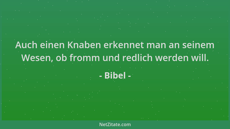 Bibel - Auch einen Knaben erkennet man an seinem Wesen, ob fromm und redlich werden will....