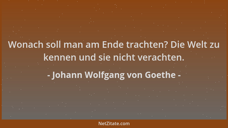 Johann Wolfgang von Goethe - Wonach soll man am Ende trachten? Die Welt zu kennen und sie nicht verachten....
