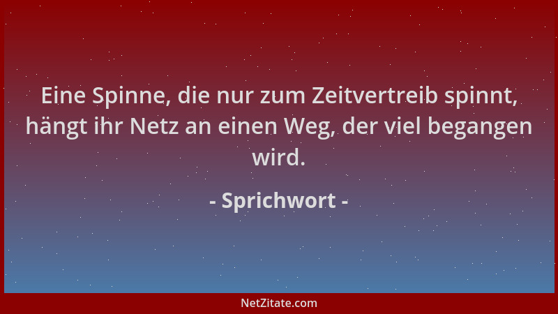Sprichwort - Eine Spinne, die nur zum Zeitvertreib spinnt, hängt ihr Netz an einen Weg, der viel begangen wird....