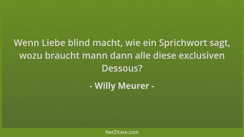 Willy Meurer - Wenn Liebe blind macht, wie ein Sprichwort sagt, wozu braucht mann dann alle diese exclusiven Dessous?...