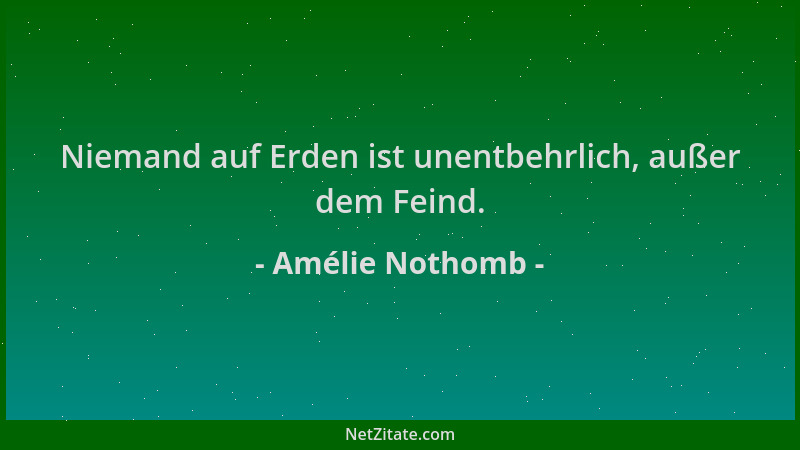 Amélie Nothomb - Niemand auf Erden ist unentbehrlich, außer dem Feind....