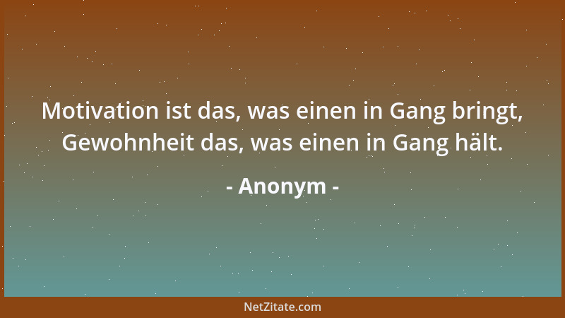 Anonym - Motivation ist das, was einen in Gang bringt, Gewohnheit das, was einen in Gang hält....