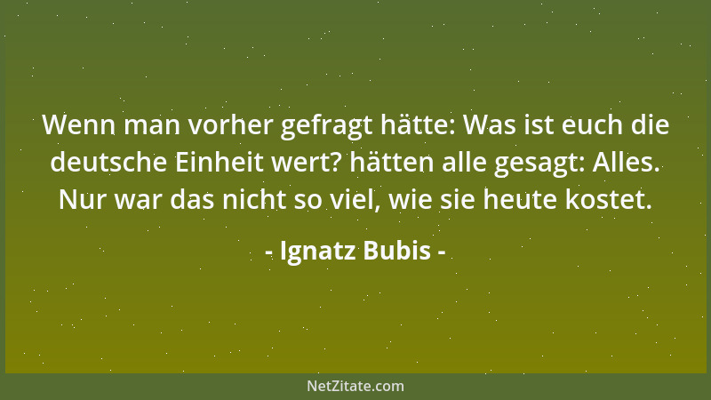 Ignatz Bubis - Wenn man vorher gefragt hätte: Was ist euch die deutsche Einheit wert? hätten alle gesagt: Alles. Nur war da...