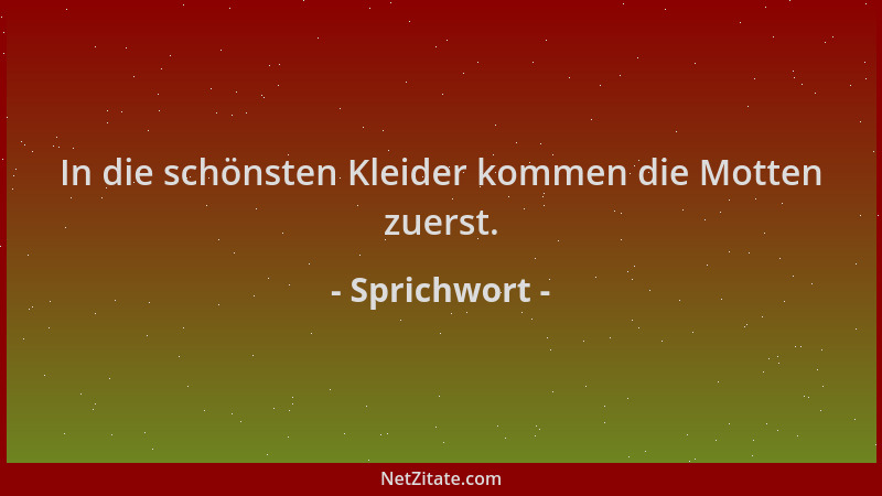 Sprichwort - In die schönsten Kleider kommen die Motten zuerst....