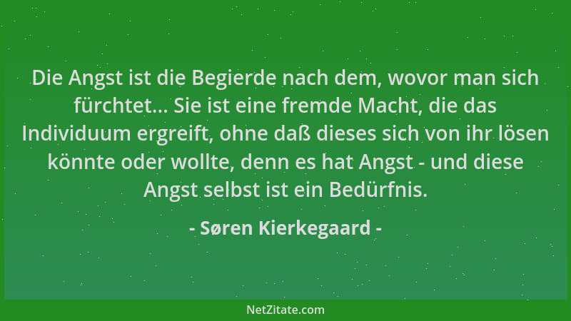 Søren Kierkegaard - Die Angst ist die Begierde nach dem, wovor man sich fürchtet... Sie ist eine fremde Macht, die das Indi...