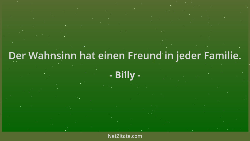 Billy - Der Wahnsinn hat einen Freund in jeder Familie....