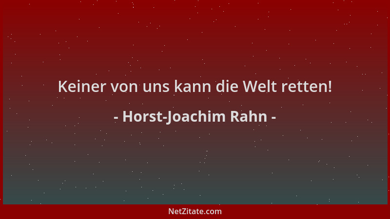 Horst-Joachim Rahn - Keiner von uns kann die Welt retten!...