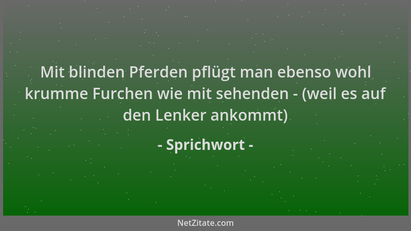 Sprichwort - Mit blinden Pferden pflügt man ebenso wohl krumme Furchen wie mit sehenden - (weil es auf den Lenker ankommt)...