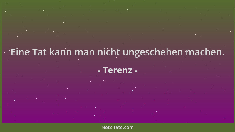 Terenz - Eine Tat kann man nicht ungeschehen machen....