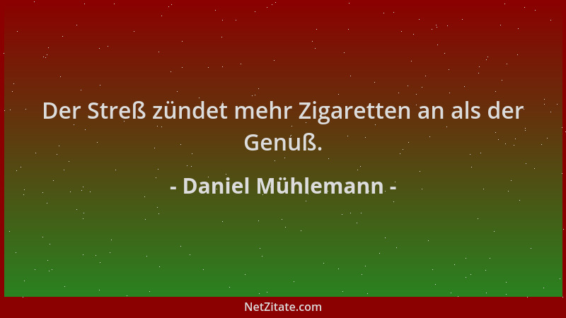 Daniel Mühlemann - Der Streß zündet mehr Zigaretten an als der Genuß....
