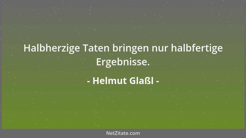 Helmut Glaßl - Halbherzige Taten bringen nur halbfertige Ergebnisse....