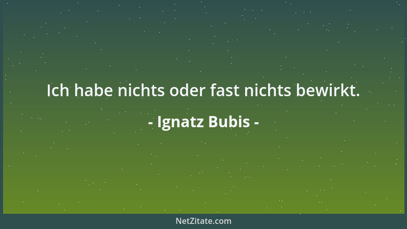 Ignatz Bubis - Ich habe nichts oder fast nichts bewirkt....