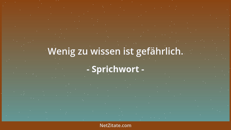 Sprichwort - Ich weiß nicht, ob ich jemals lernen werde zu fliegen, aber ich weiß, daß ich niemals lernen werde zu kriechen...