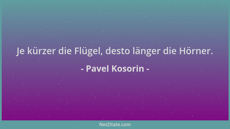 Pavel Kosorin - Je kürzer die Flügel, desto länger die Hörner....