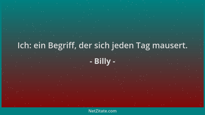 Billy - Ich: ein Begriff, der sich jeden Tag mausert....