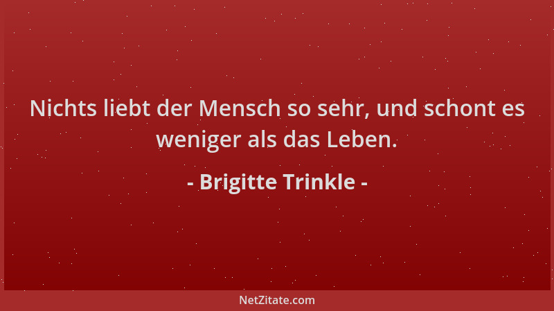 Brigitte Trinkle - Nichts liebt der Mensch so sehr, und schont es weniger als das Leben....