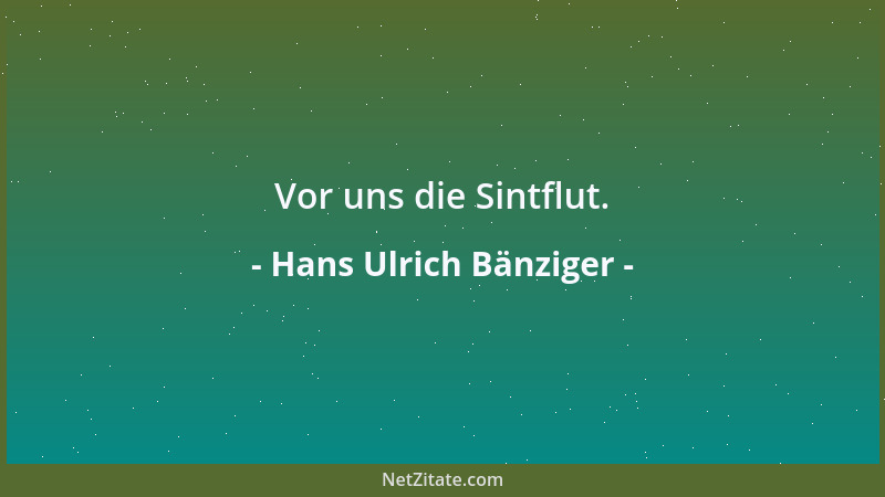 Hans Ulrich Bänziger - Vor uns die Sintflut....