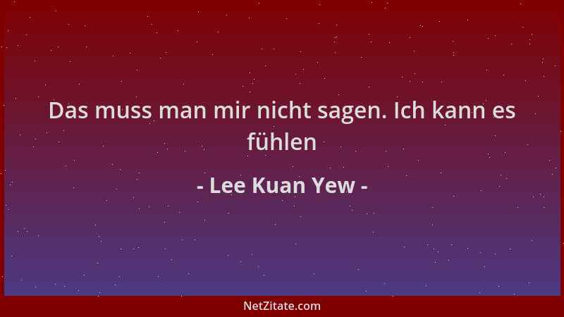 Lee Kuan Yew - Das muss man mir nicht sagen. Ich kann es fühlen...