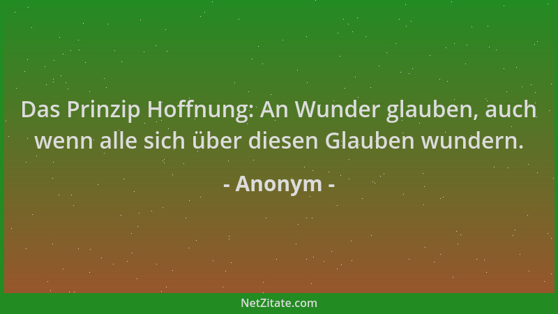 Anonym - Das Prinzip Hoffnung: An Wunder glauben, auch wenn alle sich über diesen Glauben wundern....