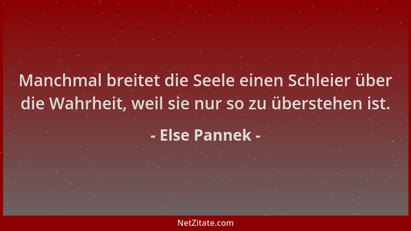 Else Pannek - Manchmal breitet die Seele einen Schleier über die Wahrheit, weil sie nur so zu überstehen ist....