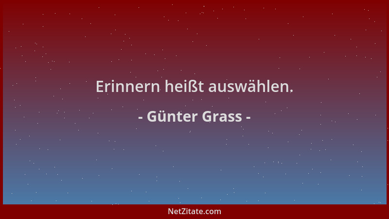 Günter Grass - Erinnern heißt auswählen....