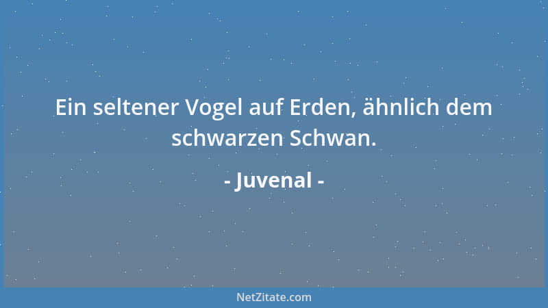 Juvenal - Ein seltener Vogel auf Erden, ähnlich dem schwarzen Schwan....
