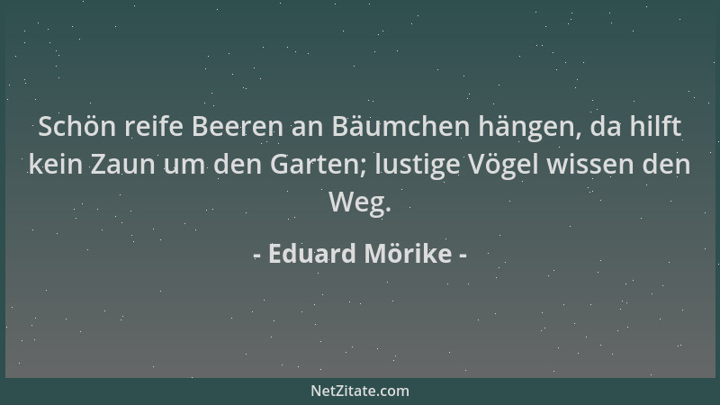 Eduard Mörike - Schön reife Beeren an Bäumchen hängen, da hilft kein Zaun um den Garten; lustige Vögel wissen den Weg....
