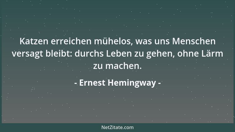 Ernest Hemingway - Katzen erreichen mühelos, was uns Menschen versagt bleibt: durchs Leben zu gehen, ohne Lärm zu machen....