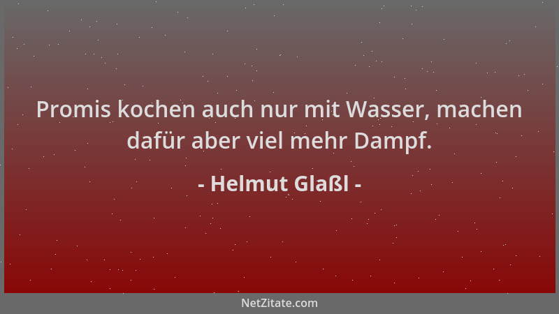 Helmut Glaßl - Promis kochen auch nur mit Wasser, machen dafür aber viel mehr Dampf....
