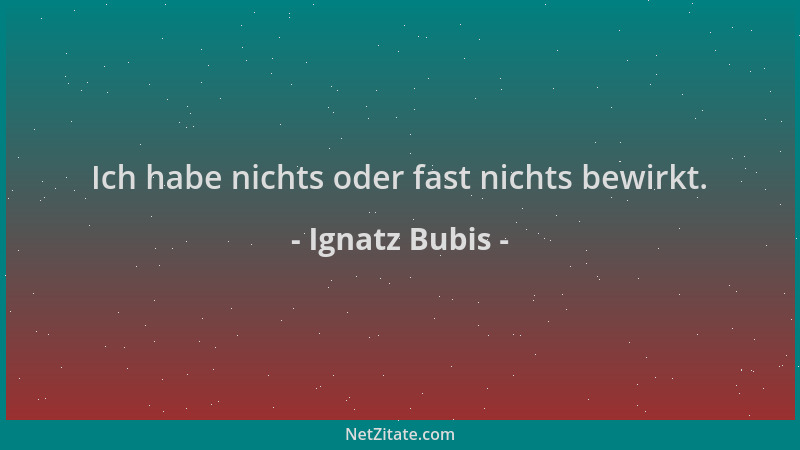 Ignatz Bubis - Ich habe nichts oder fast nichts bewirkt....
