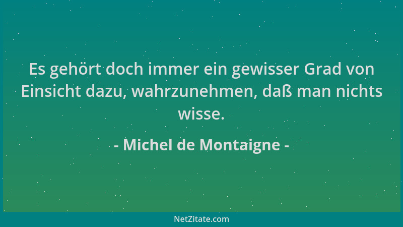 Michel de Montaigne - Es gehört doch immer ein gewisser Grad von Einsicht dazu, wahrzunehmen, daß man nichts wisse....