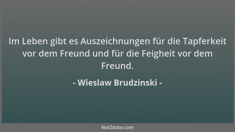Wieslaw Brudzinski - Im Leben gibt es Auszeichnungen für die Tapferkeit vor dem Freund und für die Feigheit vor dem Freund....