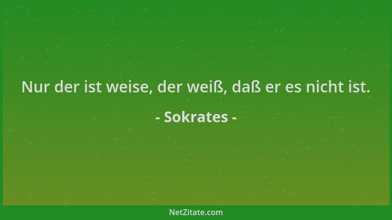 Sokrates - Nur der ist weise, der weiß, daß er es nicht ist....