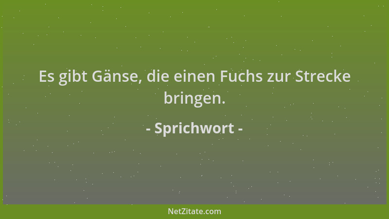 Sprichwort - Es gibt Gänse, die einen Fuchs zur Strecke bringen....