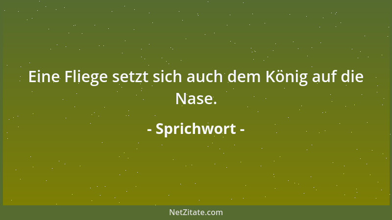 Sprichwort - Eine Fliege setzt sich auch dem König auf die Nase....