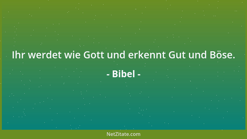 Bibel - Wer sich des Armen erbarmet, der leihet dem Herrn; der wird ihm wieder Gutes vergelten....