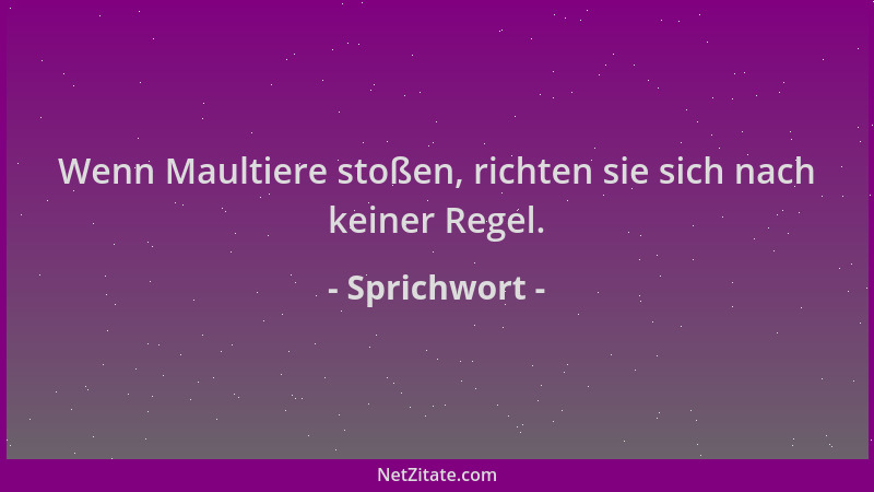 Sprichwort - Wenn Maultiere stoßen, richten sie sich nach keiner Regel....