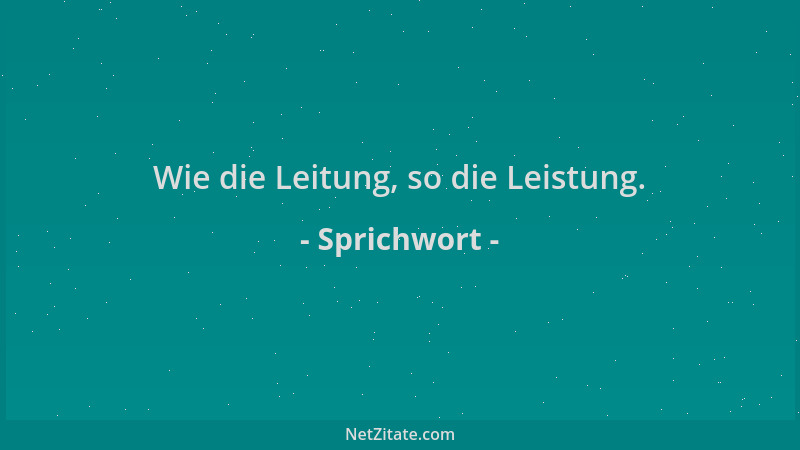 Sprichwort - Wie die Leitung, so die Leistung....