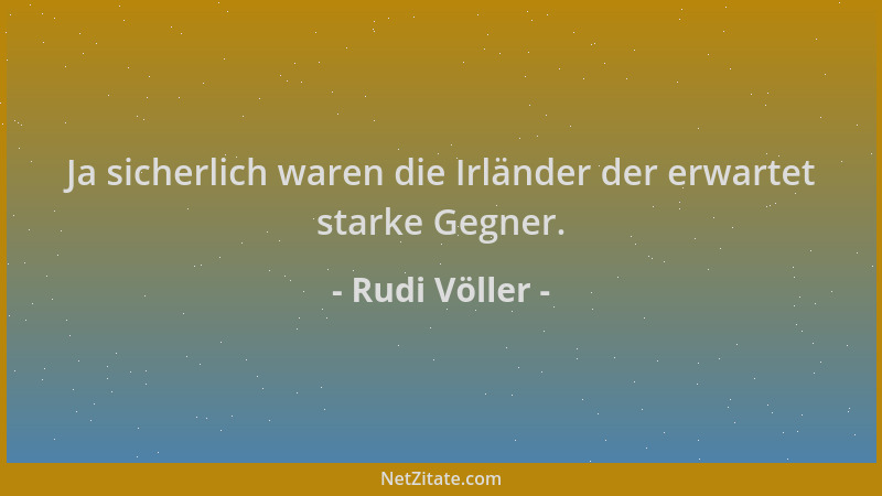 Rudi Völler - Ja sicherlich waren die Irländer der erwartet starke Gegner....