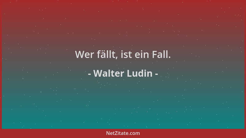 Walter Ludin - Wer fällt, ist ein Fall....